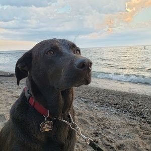 Meet your Posher, Kay